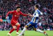 Brighton Stuns Liverpool