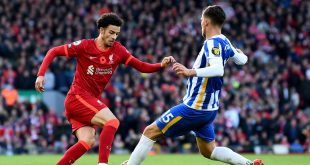 Brighton Stuns Liverpool at Anfield, Lead 1-0 at Halftime in Premier League Clash