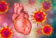 Contamination Post-quake tremor: Coronavirus' Drawn out Effect on Your Heart