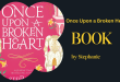 Once Upon a Broken Heart